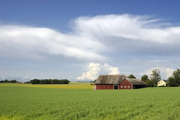 Шведский пейзаж — стоковое фото