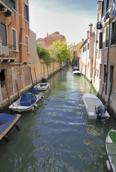 Italy Showcase Portraits — Stock Photo, Image