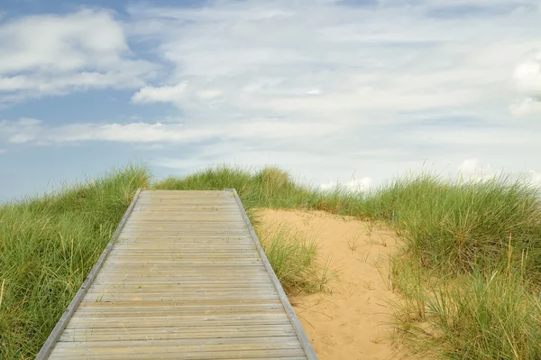 Boardwalk — Stock Photo, Image