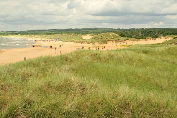 Dunes — Stock Photo, Image