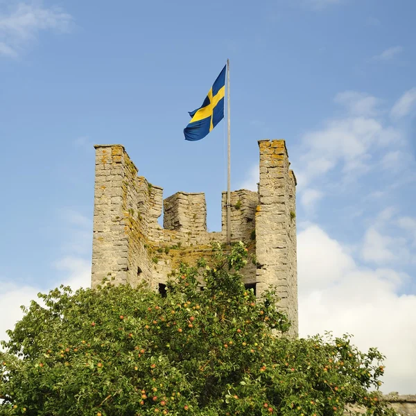 Visby rovine della chiesa gotica — Foto Stock