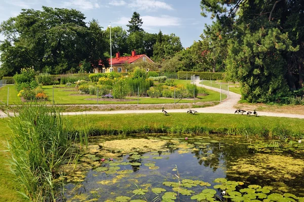 Jardín de Bergianska — Foto de Stock