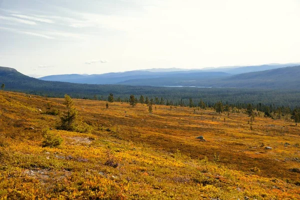 Осенний Горный Пейзаж Идре Даларна Швеция — стоковое фото