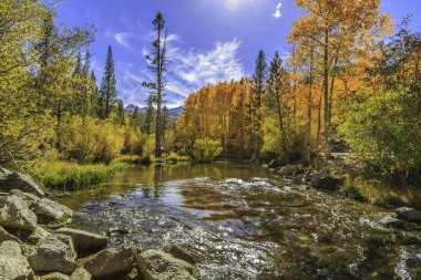 California sonbahar renkleri