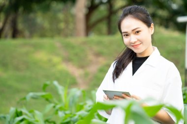 Biyoteknoloji Asyalı kadın mühendis hastalık, bilim ve araştırma konsepti için bitki yaprağını inceliyor