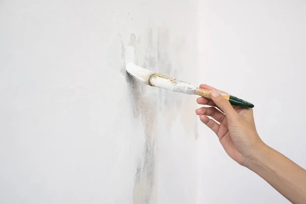 Trabajador Mano Que Sostiene Pintura Del Cepillo Blanco Casa Pared —  Fotos de Stock