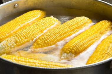 tencerede kaynayan Mısır