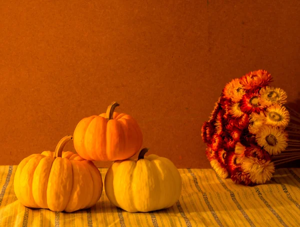 Still Life Tiny pumpkins and dry flower  on table — Stock Photo, Image