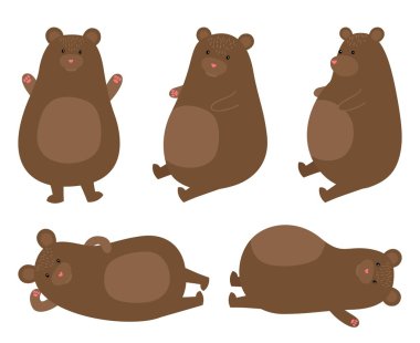 vektör bal ayı pozlar