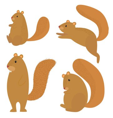 kıllı sincap simgesi beyaz zemin üzerine seti