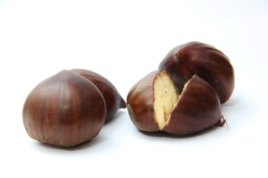 kestane