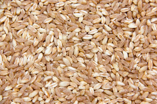Wheat close — Stock Photo, Image