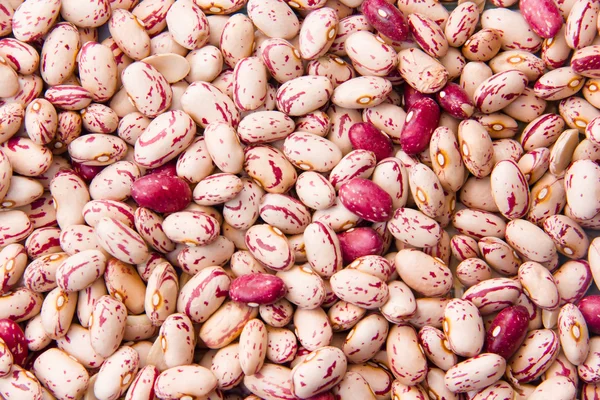 Beans close — Stock Photo, Image