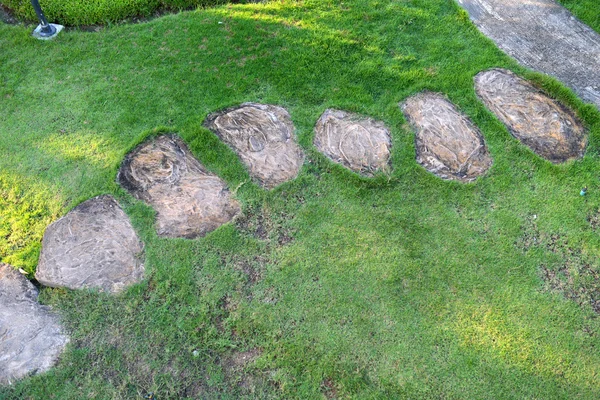 Bahçede yürüyüş yolu