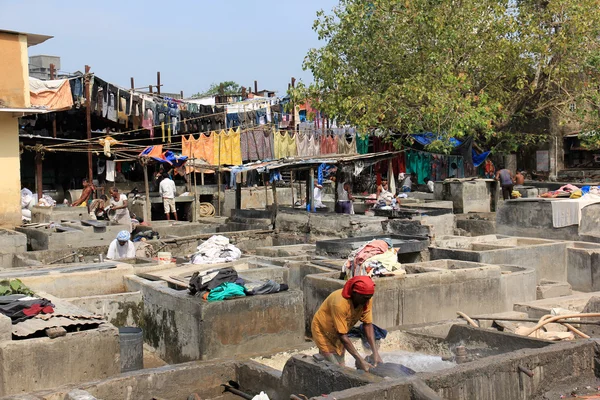 Dhobi Ghat, Mumbai