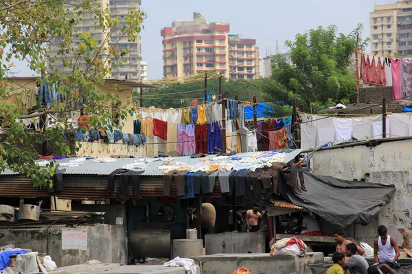 Dhobi Ghat, Mumbai