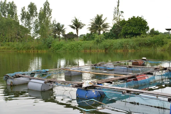 Tayland ülke içinde bulunan balık çiftliği