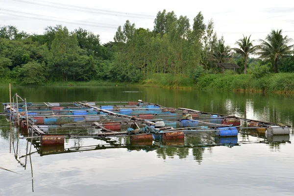 Tayland ülke içinde bulunan balık çiftliği