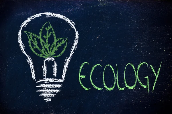 Ecologie ideeën & reneawable energie — Stockfoto