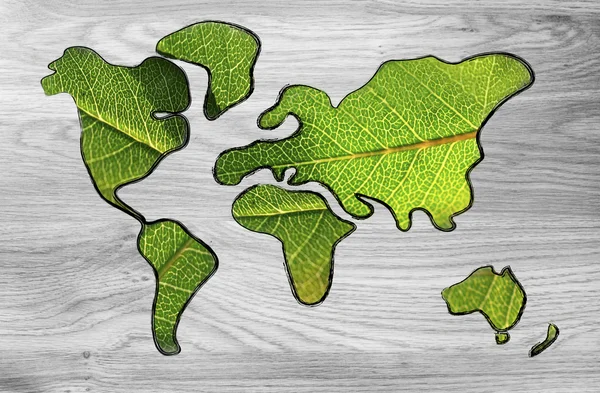 Green economy, world map covered by green leaves — Stock Photo, Image