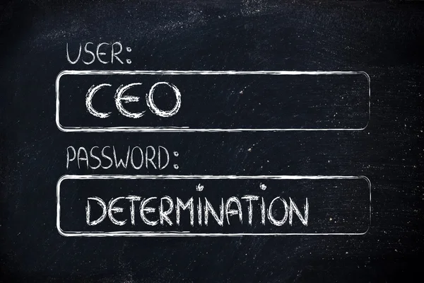 User CEO, password Determination — Stock Photo, Image