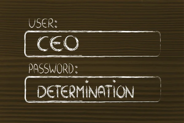 User CEO, password Determination — Stock Photo, Image