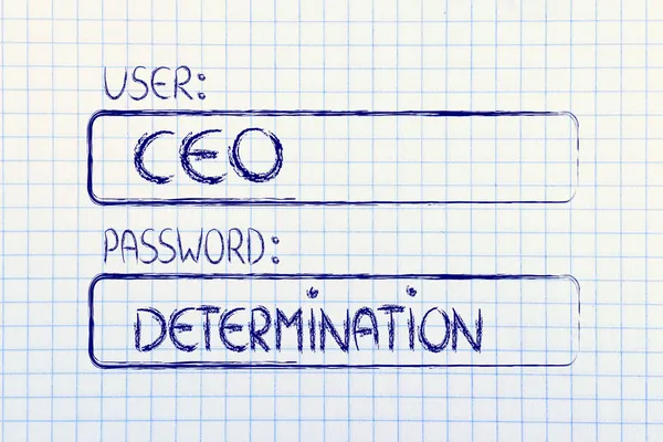 User CEO, password Determination — Stock Photo, Image