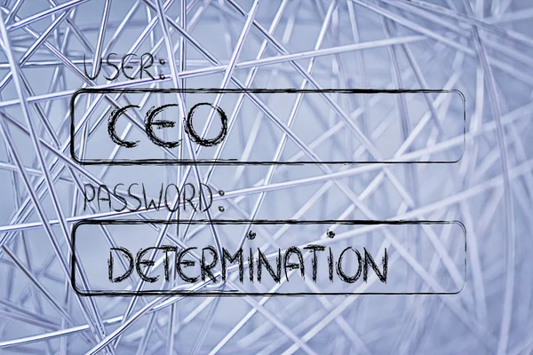 User CEO, password Determination — Stock Photo, Image