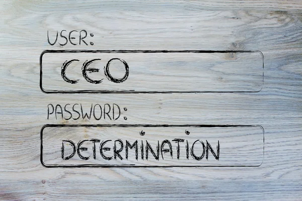 User CEO, password Determination — Stock Photo, Image