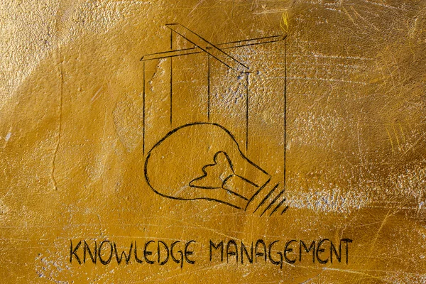 Knowledge or creativity management — Stock Photo, Image