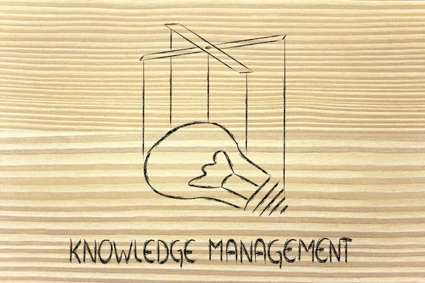 Knowledge or creativity management — Stock Photo, Image