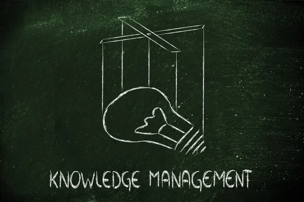 Knowledge or creativity management — Stock Photo, Image