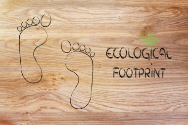 ekolojik ayak izi, eko-turizm ve çevre bilinci