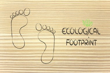 ekolojik ayak izi, eko-turizm ve çevre bilinci
