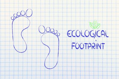 ekolojik ayak izi, eko-turizm ve çevre bilinci