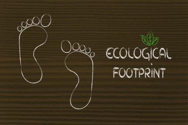 ekolojik ayak izi, eko-turizm ve çevre bilinci