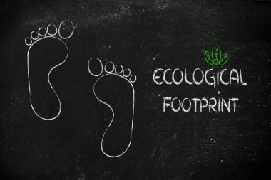 ekolojik ayak izi, eko-turizm ve çevre bilinci
