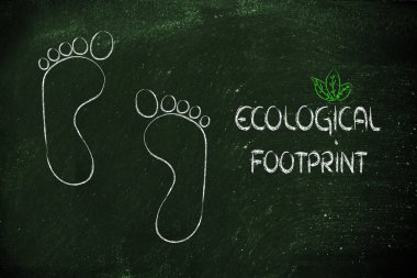 ekolojik ayak izi, eko-turizm ve çevre bilinci