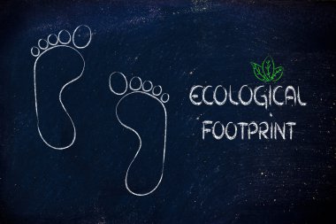 ekolojik ayak izi, eko-turizm ve çevre bilinci