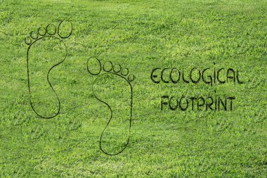 ekolojik ayak izi, eko-turizm ve çevre bilinci