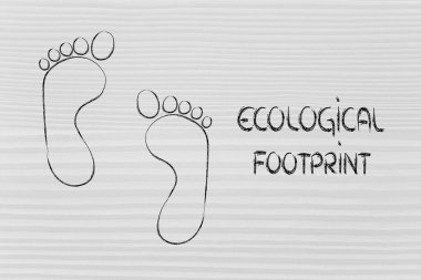ekolojik ayak izi, eko-turizm ve çevre bilinci