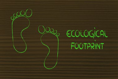 ekolojik ayak izi, eko-turizm ve çevre bilinci