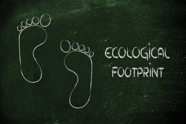ekolojik ayak izi, eko-turizm ve çevre bilinci