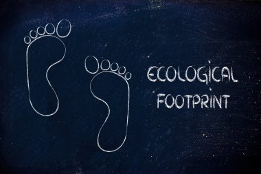 ekolojik ayak izi, eko-turizm ve çevre bilinci