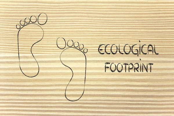 Ecological footprint, ecotourism and environmental awareness — Stock Photo, Image