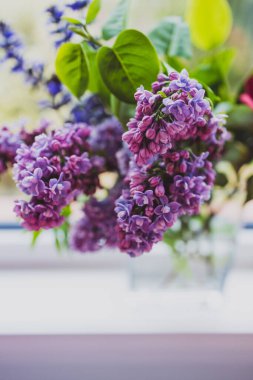 Bir demet mor çiçeğin yakın plan çekimi. Kapalı alanda, sığ alanda çekilen pencerenin yanındaki vazoda bulunan leylak rengi de dahil.