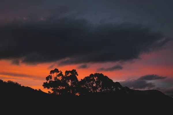 Rózsaszín Narancssárga Naplemente Felhők Képződnek Tasmania Hegyei Felett Előtérben Eukaliptusz — Stock Fotó