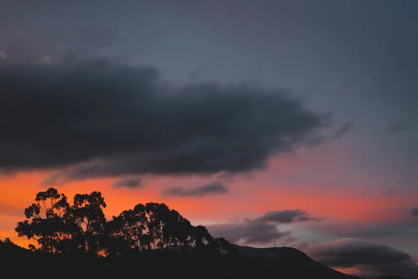 Rózsaszín Narancssárga Naplemente Felhők Képződnek Tasmania Hegyei Felett Előtérben Eukaliptusz — Stock Fotó