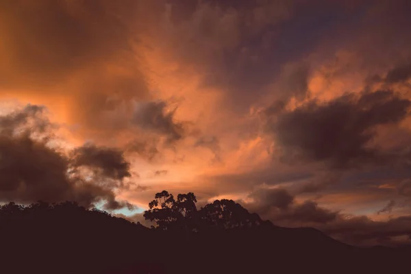 Rosa Und Orangefarbene Wolken Bei Sonnenuntergang Über Den Bergen Tasmaniens — Stockfoto