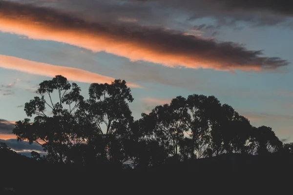 Rózsaszín Narancssárga Naplemente Felhők Képződnek Hegyek Felett Eukaliptusz Gumifákkal Előtérben — Stock Fotó